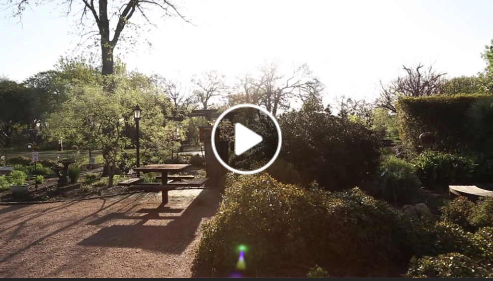 Israel Prayer Garden